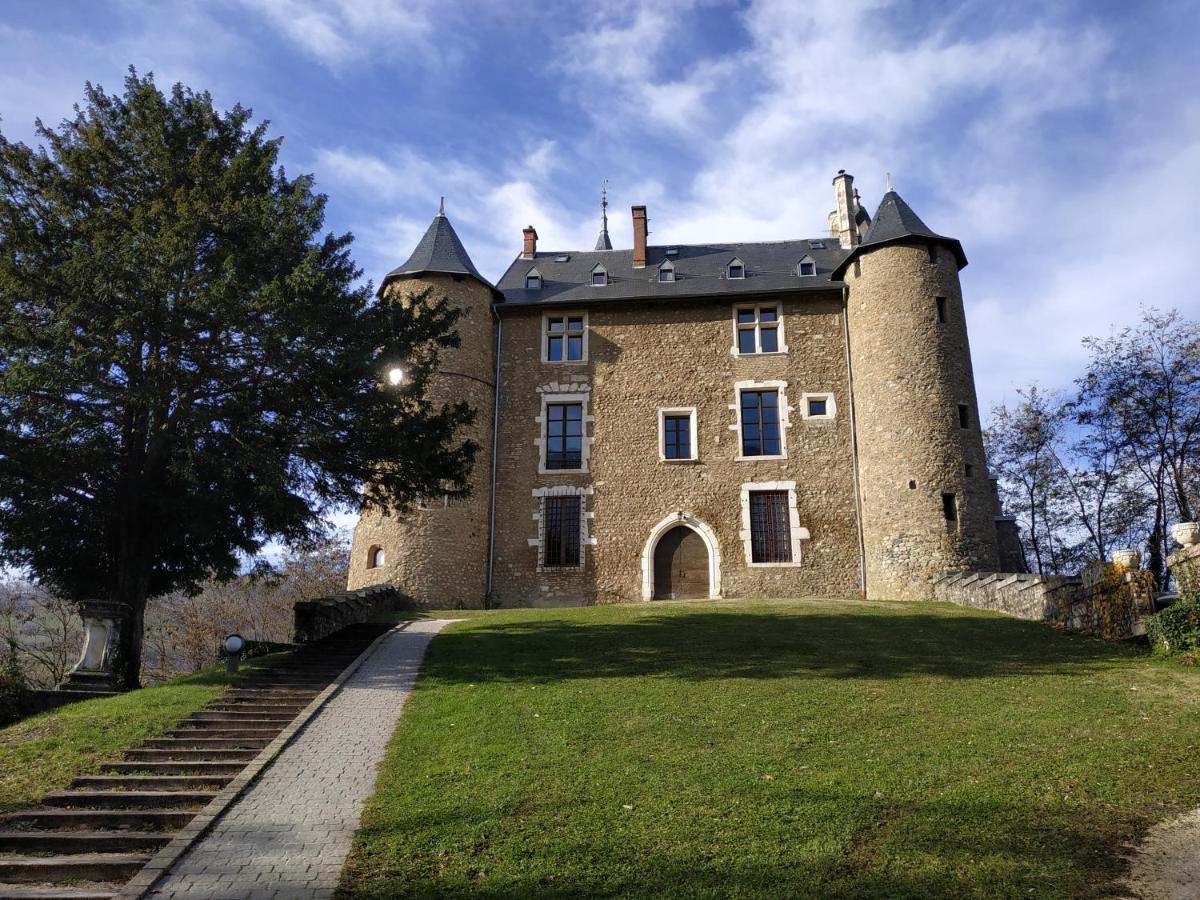 Appartement Chateau Uriage-Chamrousse 생 마르탱 듀리아쥬 외부 사진