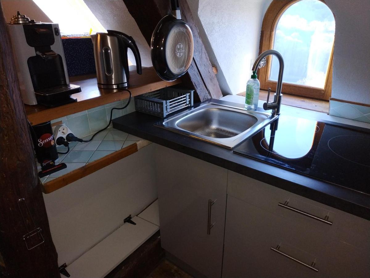 Appartement Chateau Uriage-Chamrousse 생 마르탱 듀리아쥬 외부 사진